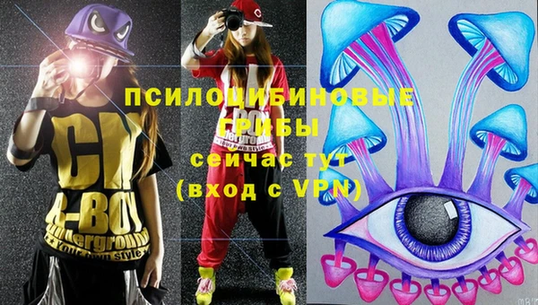 амф Алзамай