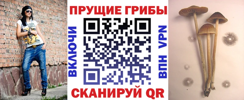 Псилоцибиновые грибы ЛСД  Черепаново 